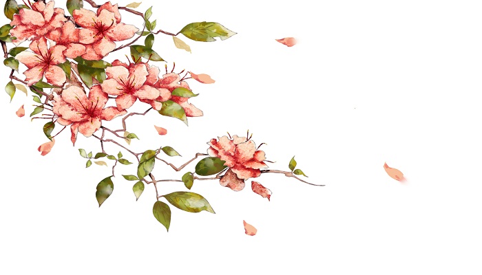 摄图网_400109483_花卉（企业商用）.jpg